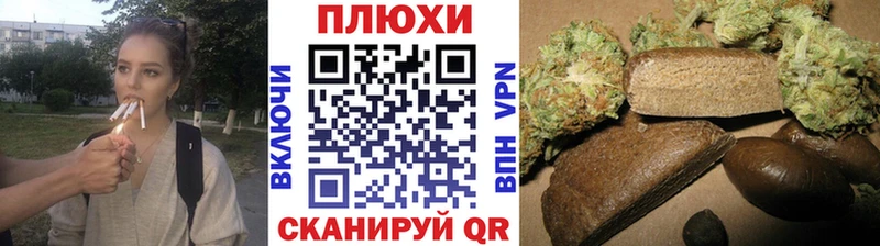 купить   Суджа  ГАШ AMNESIA HAZE 