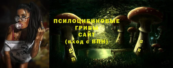 индика Балабаново