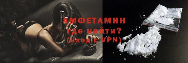 индика Балабаново