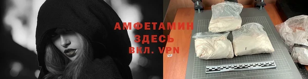 индика Балабаново