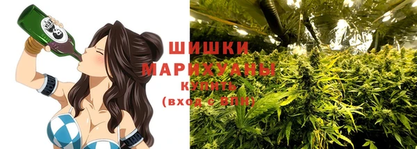 индика Балабаново