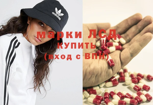 индика Балабаново