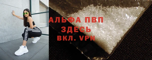 индика Балабаново